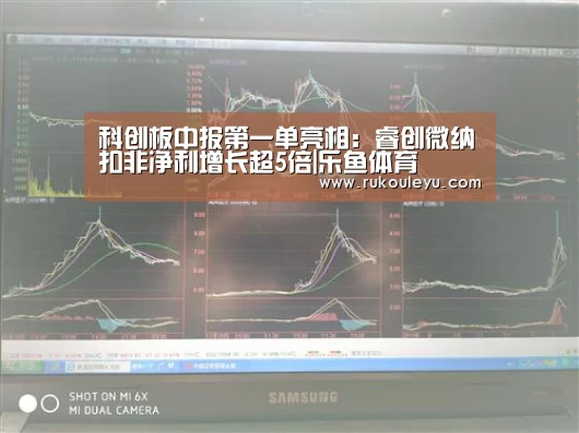 科创板中报第一单亮相:睿创微纳扣非净利增长超5倍|乐鱼体育(图4) 乐鱼app