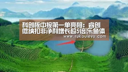 科创板中报第一单亮相:睿创微纳扣非净利增长超5倍|乐鱼体育(图3) 乐鱼体育