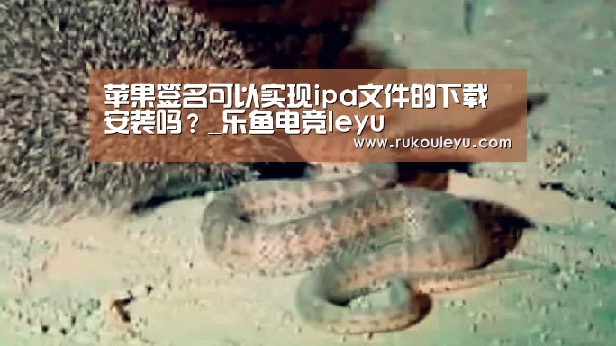 苹果签名可以实现ipa文件的下载安装吗?_乐鱼电竞leyu(图3) 乐鱼app