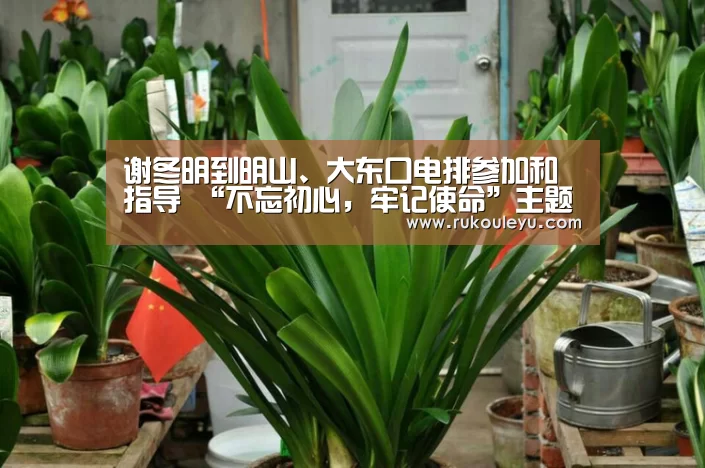 乐鱼体育