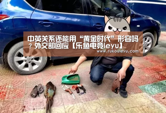乐鱼体育
